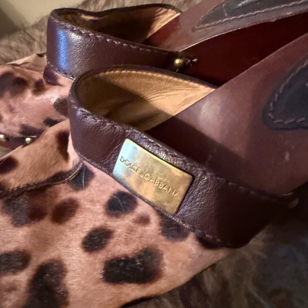 Dolce & Gabbana Dark Brown Clogs